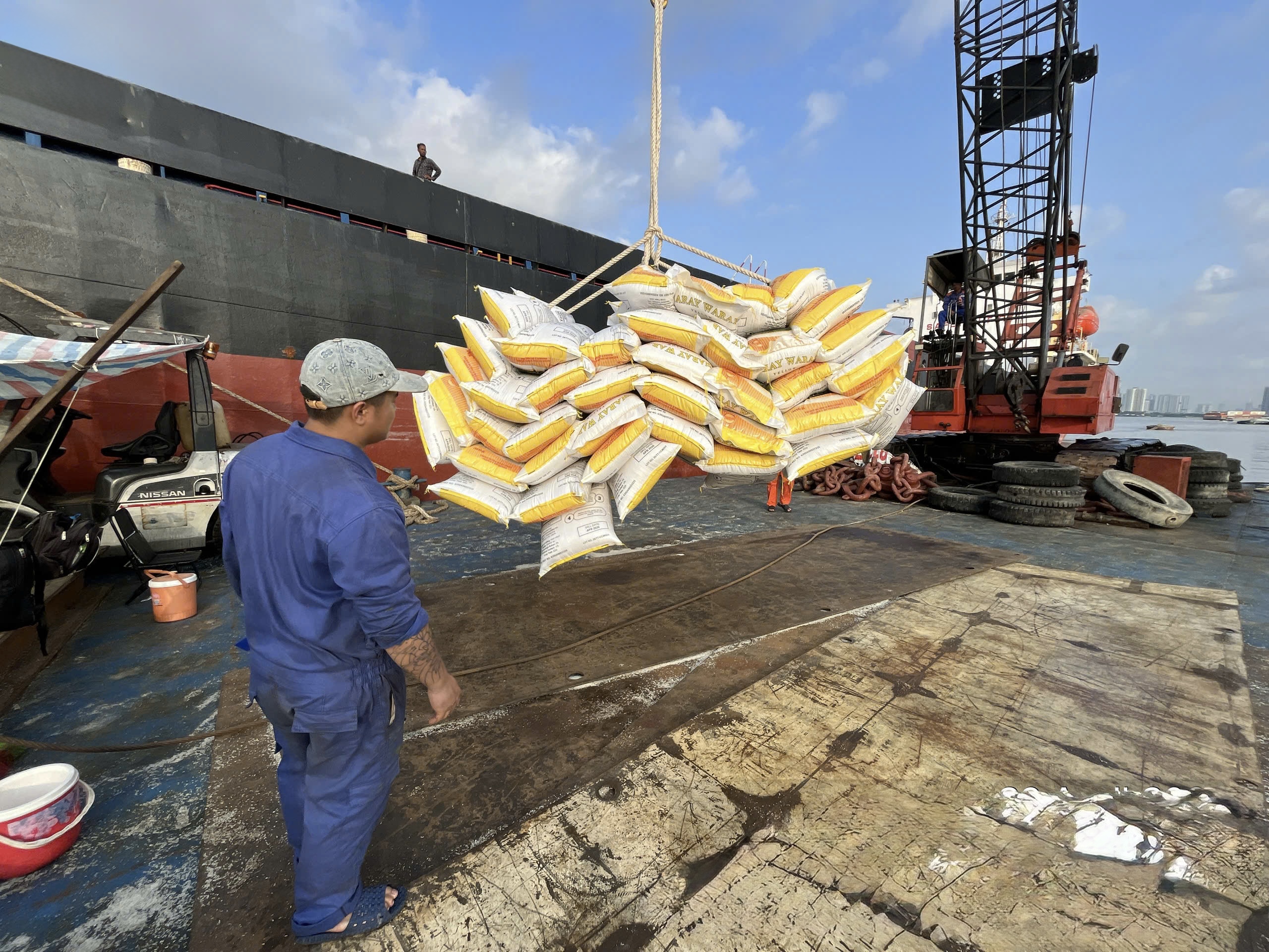 Cargo securing tools and lashing materials for shipment