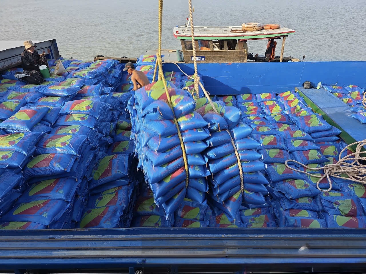 Cargo protection dunnage arranged for shipment handling